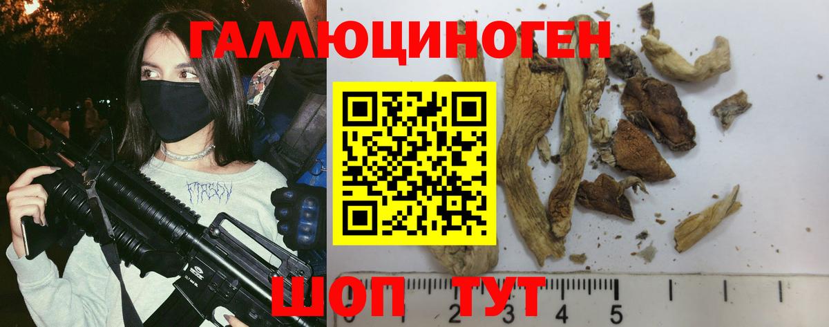 Галлюциногенные грибы GOLDEN TEACHER  Вход с VPN  Ачхой-Мартан 